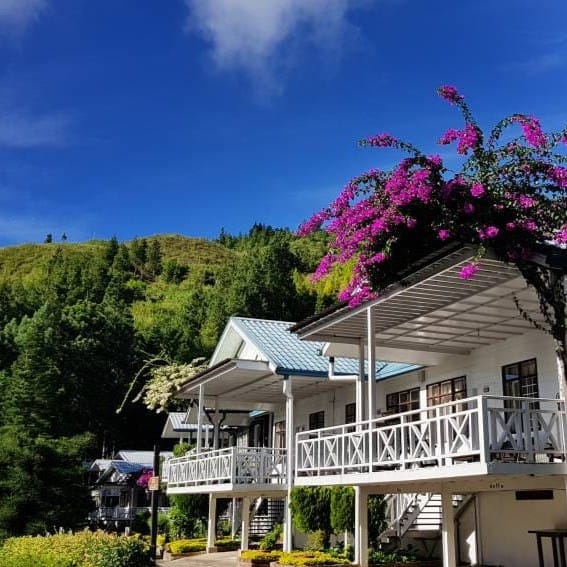 Kinabalu Pine Resort